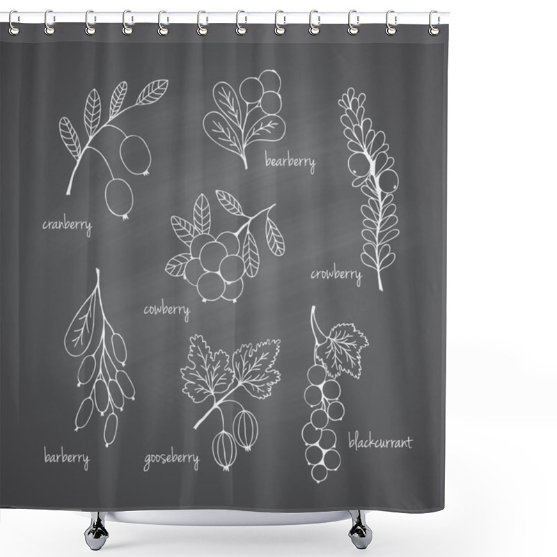 Personality  Set Of Garden And Wild Chalk Hand-drawn Berries Shower Curtains