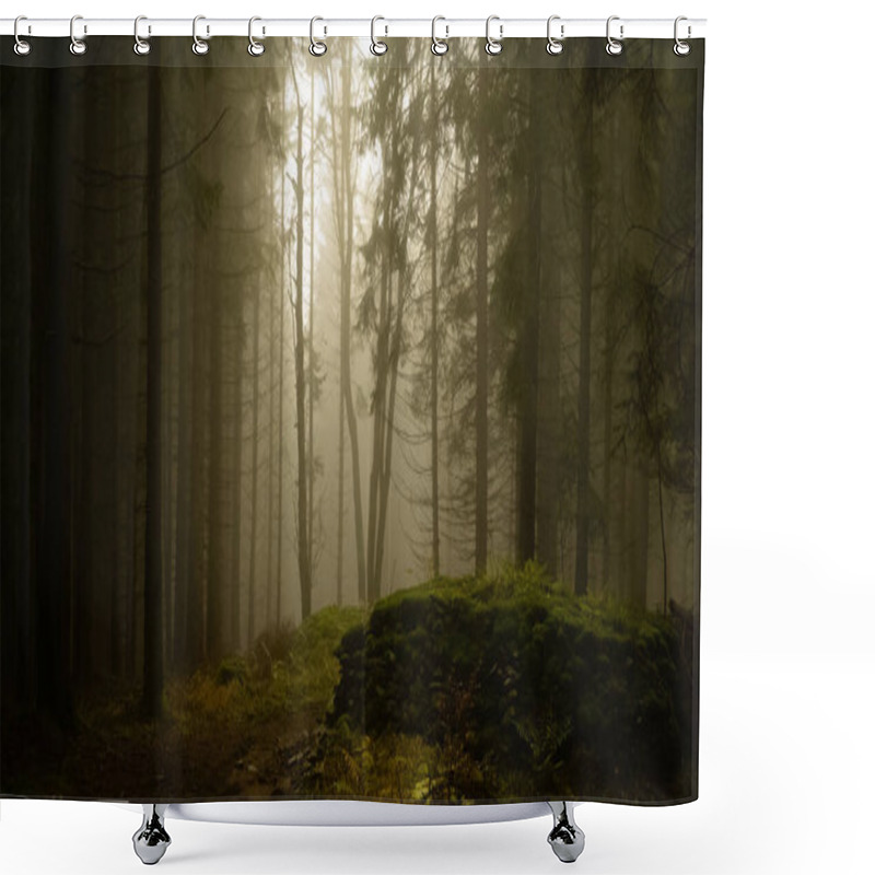 Personality  Foggy Forest, Light Coming Through Trees, Stones, Moss, Wood Fern, Spruce Trees. Gloomy Magical Landscape At Autumn/fall. Jeseniky Mountains, Eastern Europe, Moravia.  Shower Curtains