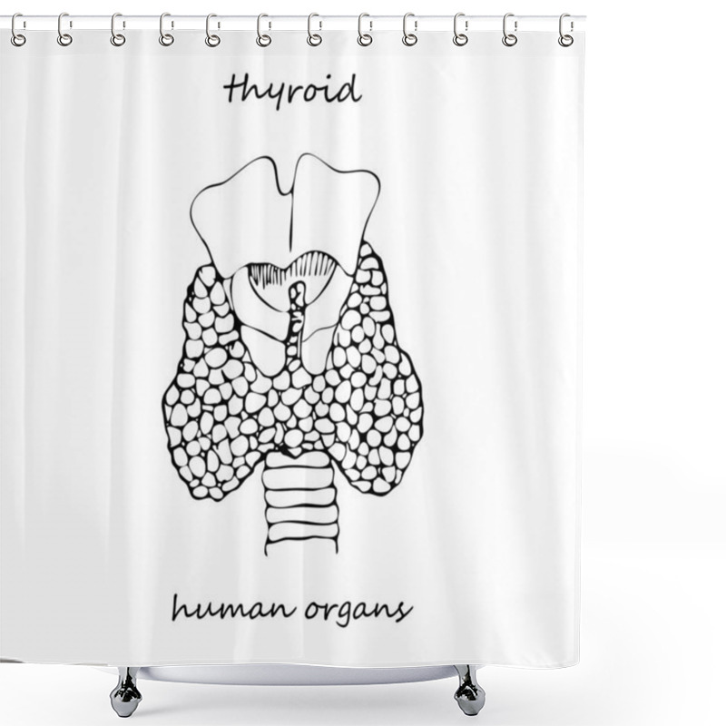 Personality  Thyroid Structure And Parts. Hand-drawn Icon Isolated On White Background Human Internal Organs. Line Sketch Style. Design For Medical Project, Poster Pathology, Disease, Treatment Shower Curtains