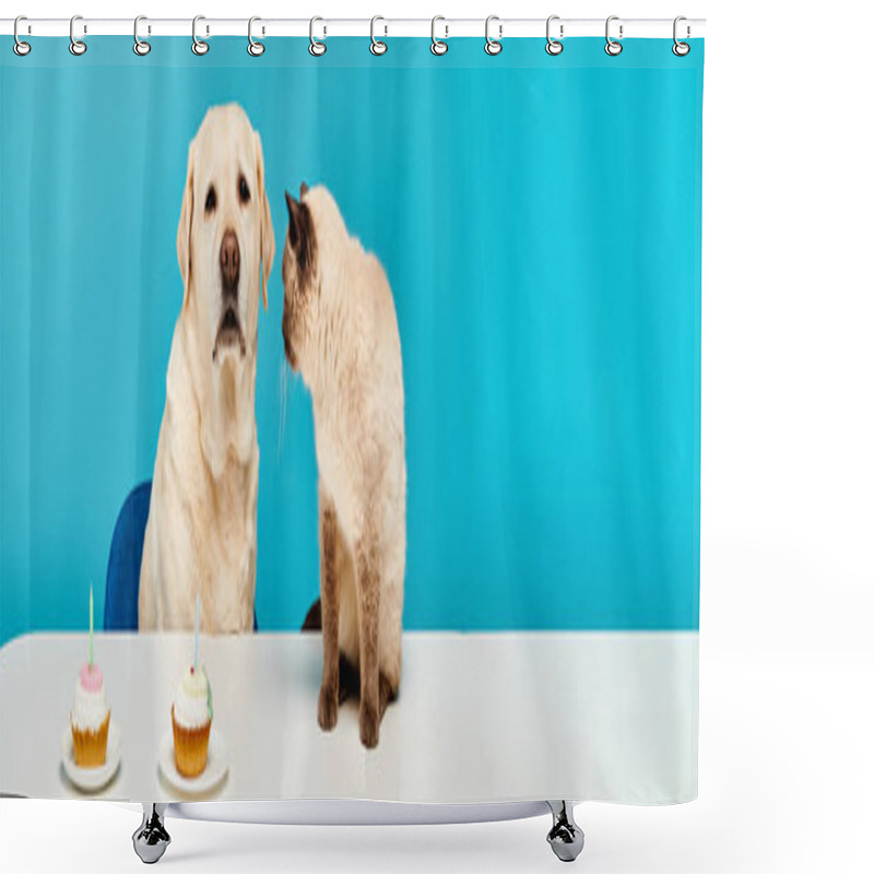 Personality  A Dog And A Cat Sit At A Table, Enjoying Cupcakes Together In A Cozy Studio Setting. Shower Curtains