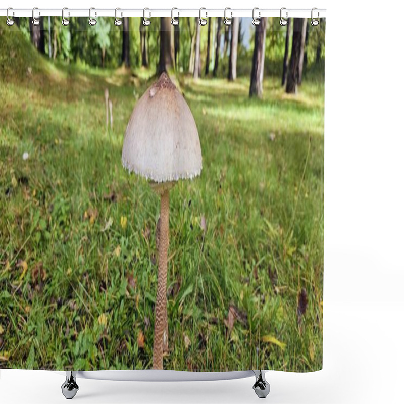 Personality  Close-Up Of Wild Mushroom In A Forest Setting During Autumn Shower Curtains