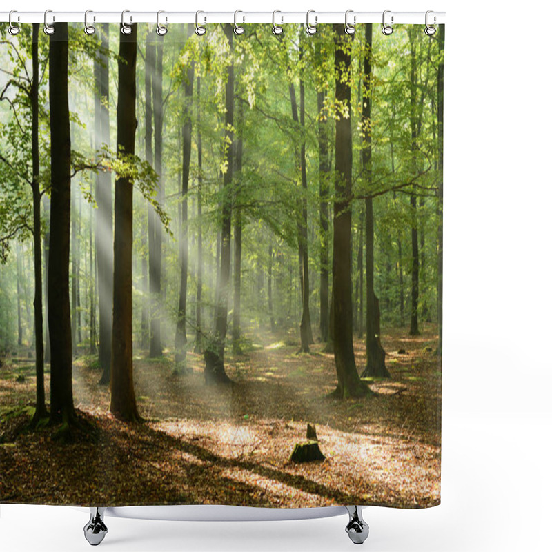 Personality  Beautiful Morning With Sunshine In Autumn Forest Shower Curtains