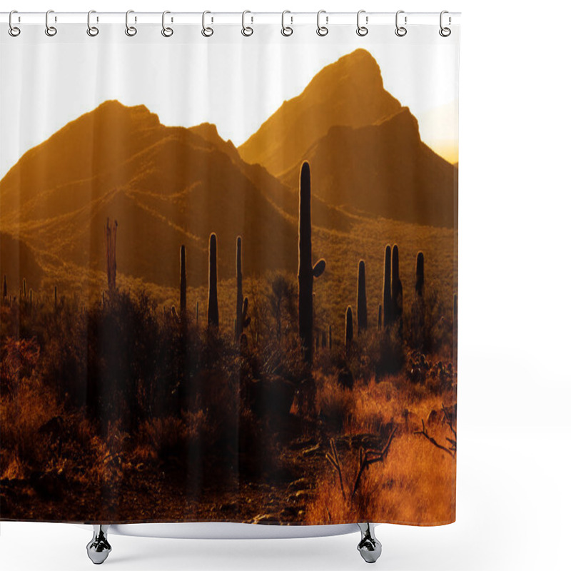 Personality  Desert Southwest Saguaro Cacti Shower Curtains