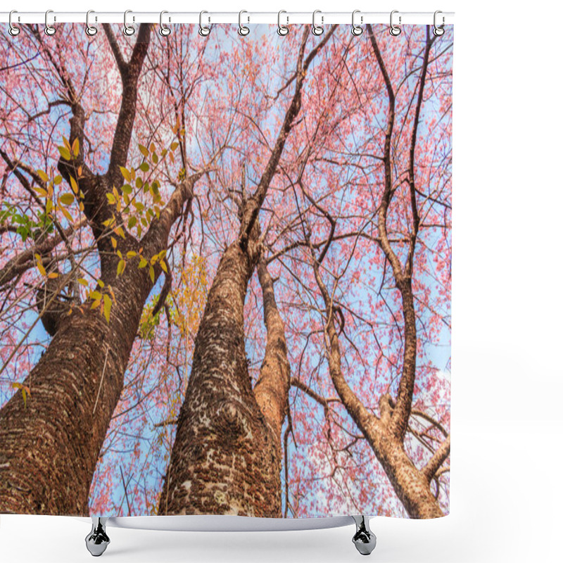 Personality  Blooming Sakura Trees   Shower Curtains