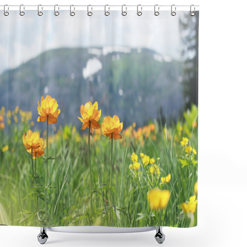 Personality  Blossoming Flowers Field Into The Mountains. Snow On The Hills And Blossoming Flowers. Beautiful Mountain Landscape. Shower Curtains