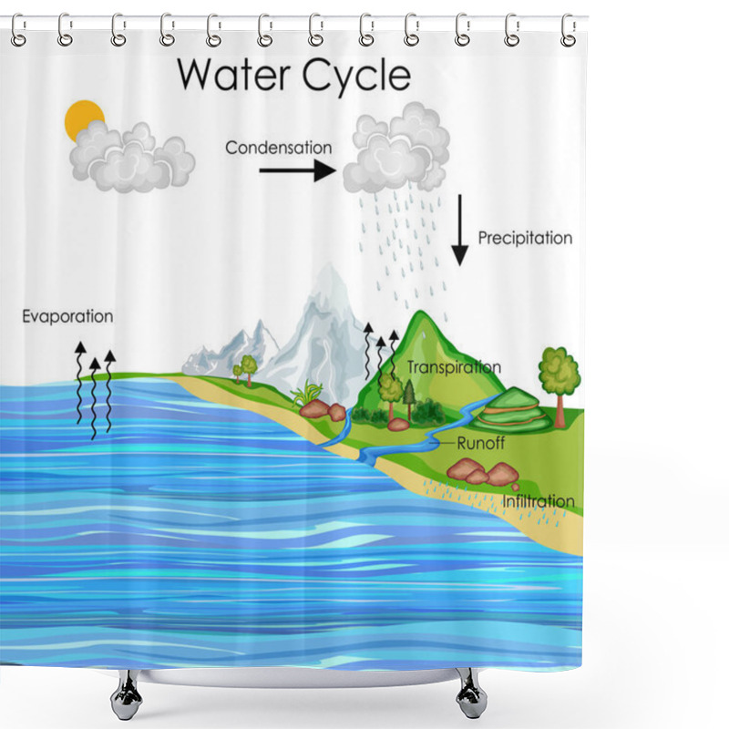 Personality  Education Chart Of Water Cycle Diagram Shower Curtains