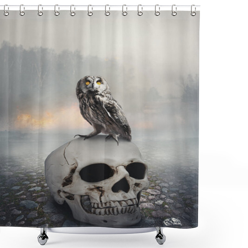 Personality  Owl On The Skull. Halloween Mystical Scene Shower Curtains