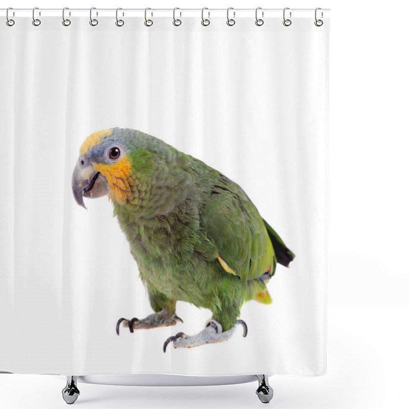 Personality  Orange-winged Amazon On White Background Shower Curtains