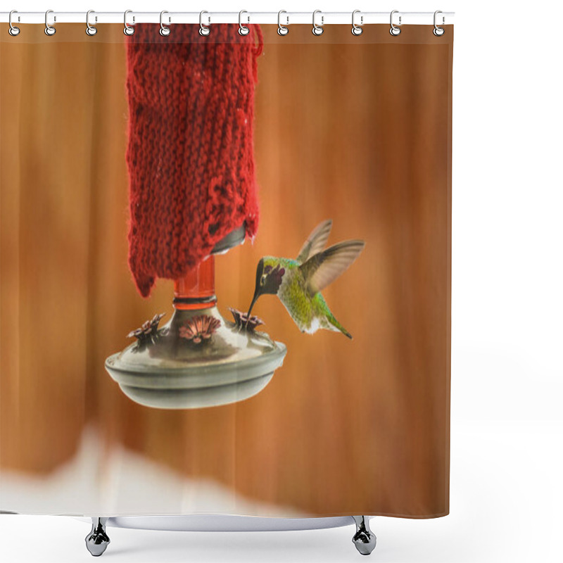 Personality  Male Annas Hummingbird, Calypte Anna, Feeding At Heated Insulated Backyard Red Glass Feeder In Winter Shower Curtains