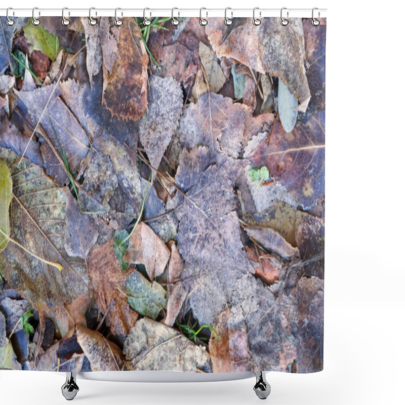 Personality  Fallen Autumn Leaves With Natural Decay. Close-up Of Weathered Autumn Leaves On The Forest Floor, Showcasing Natural Textures, Colors, And The Transition Of Seasons. Shower Curtains