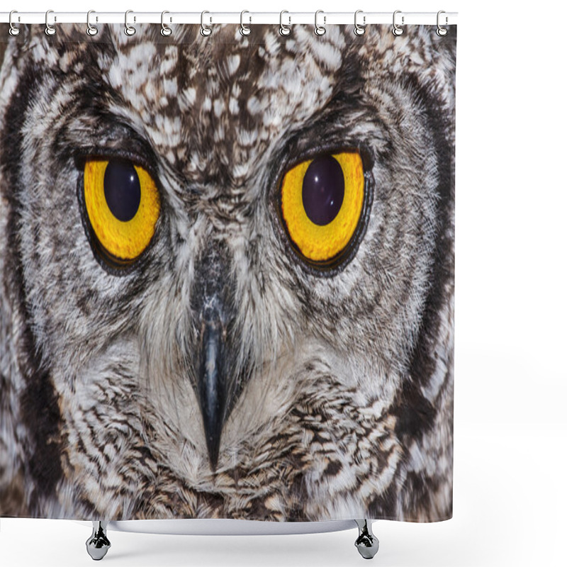 Personality  Spotted Eagle Owl Shower Curtains