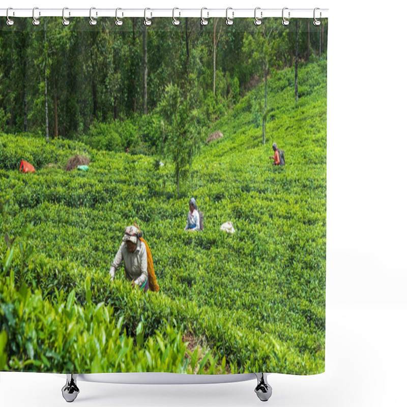 Personality  Haputale, Sri Lanka - April 18 2018: Local Woman Collecting Tea Leaves Shower Curtains