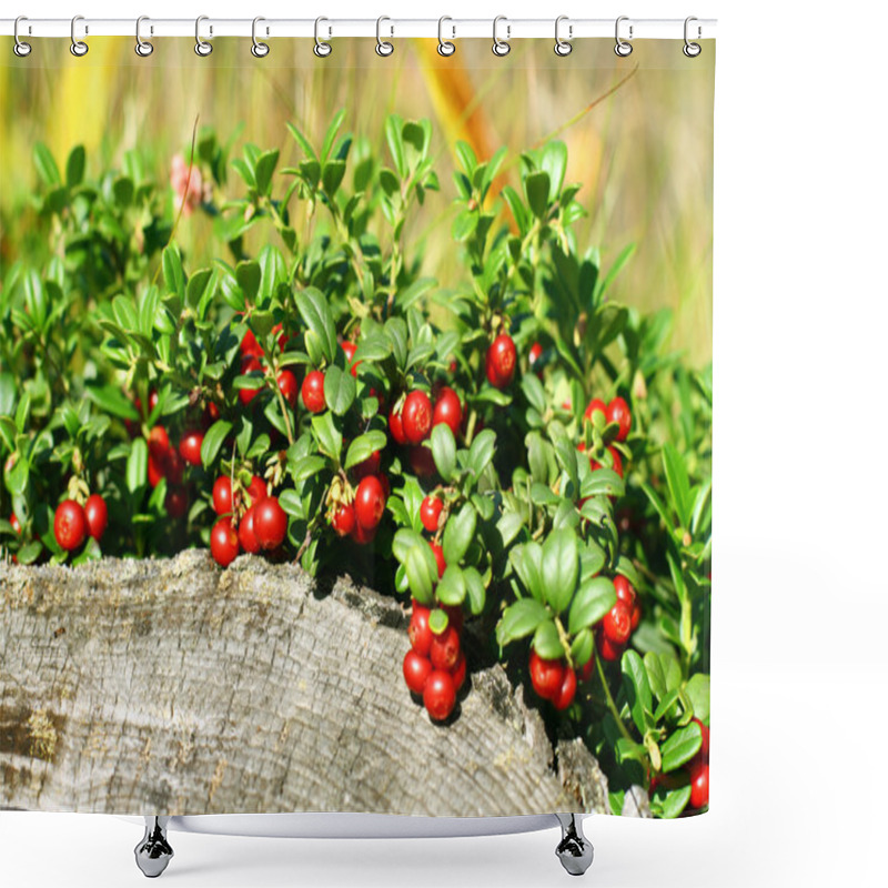 Personality  Cowberry Shower Curtains