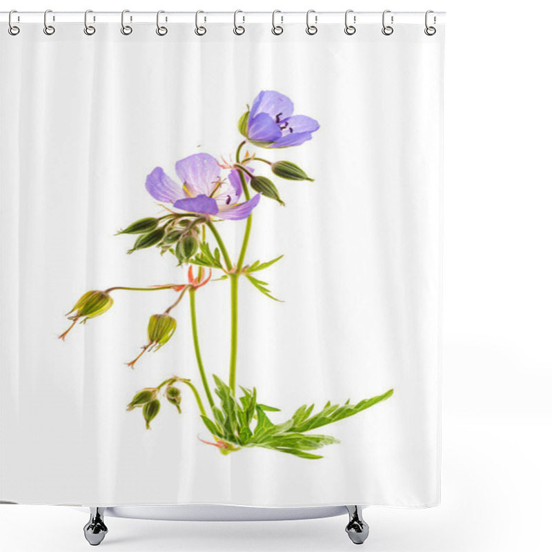 Personality  Meadow Geranium Isolated, Close Up Shower Curtains