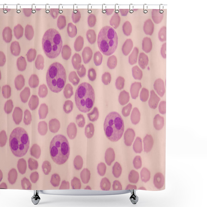 Personality  Neutrophil With Red Blood Cells. Shower Curtains