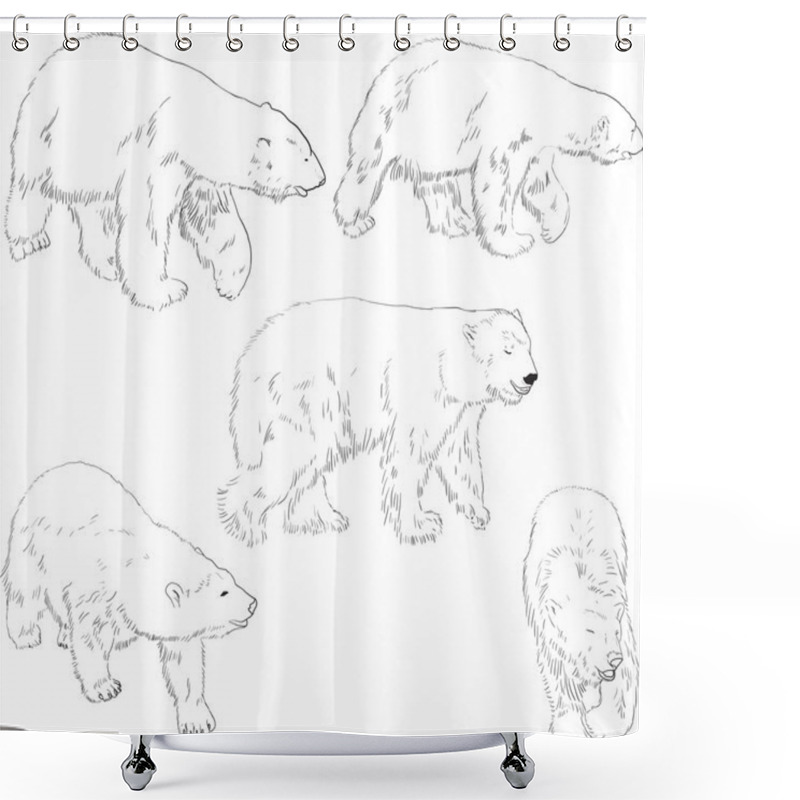 Personality  Set Of Linear Drawing Polar Bears Shower Curtains