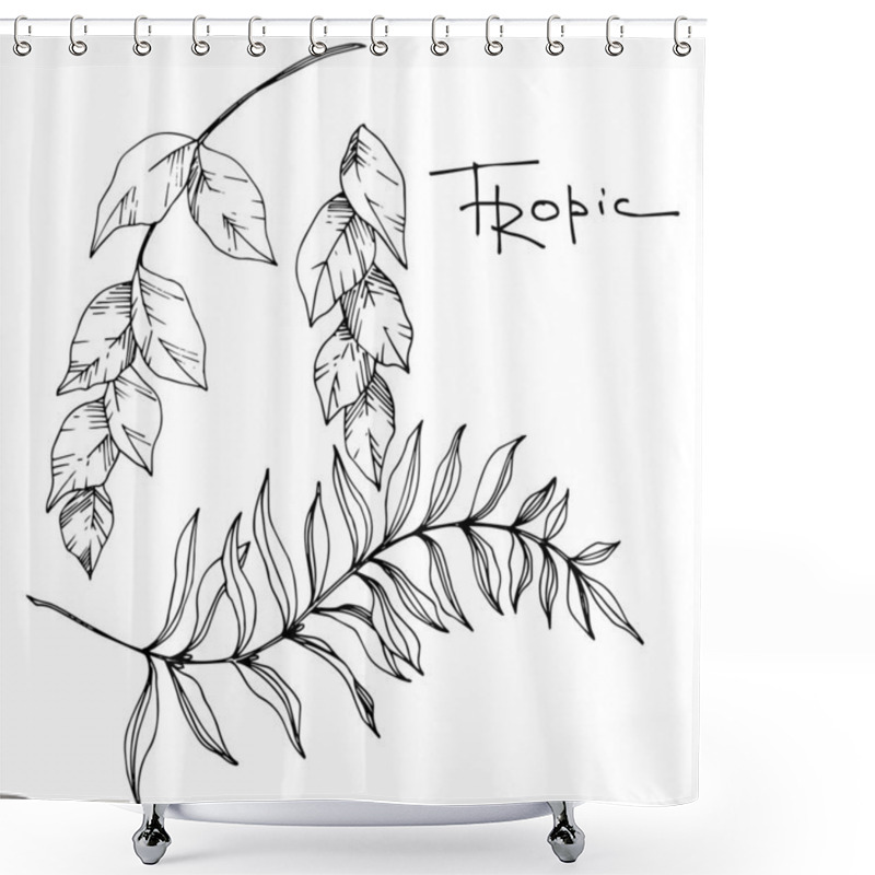 Personality  Vector Palm Beach Tree Leaves Jungle Botanical. Black And White Engraved Ink Art. Isolated Leaf Illustration Element. Shower Curtains