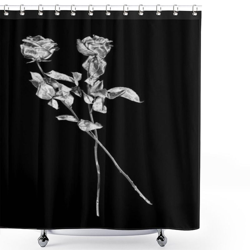 Personality  Two Silver Rose Flowers Black Background Isolated Close Up, Black And White Long Stem Roses Bouquet, Beautiful Shiny Gray Metal Flower And Leaves, Decorative Floral Design Element, Vintage Decoration Shower Curtains