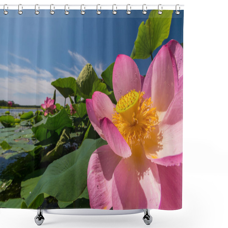 Personality  The Lake Of Lotus Flowers Shower Curtains