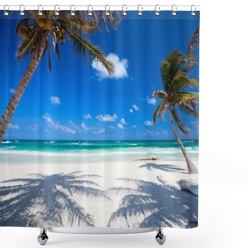 Personality  Coconut Palms At Beach Shower Curtains