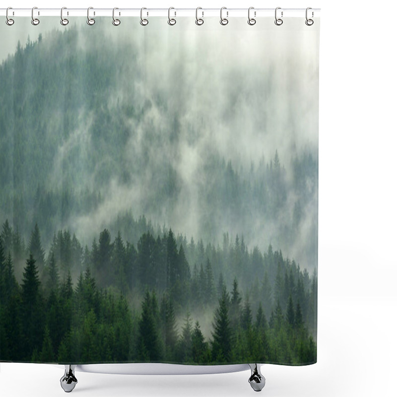 Personality  The Pine Forest In The Valley In The Foggy Morning Fresh Atmosphere Of Green. Shower Curtains