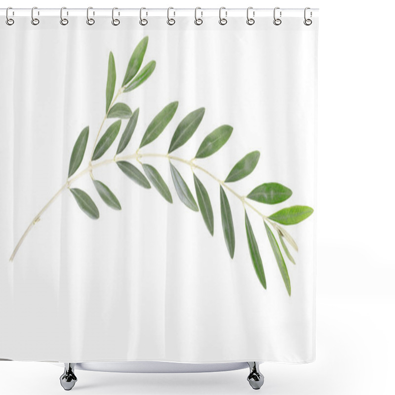 Personality  Olive Branch, Peace Symbol Shower Curtains