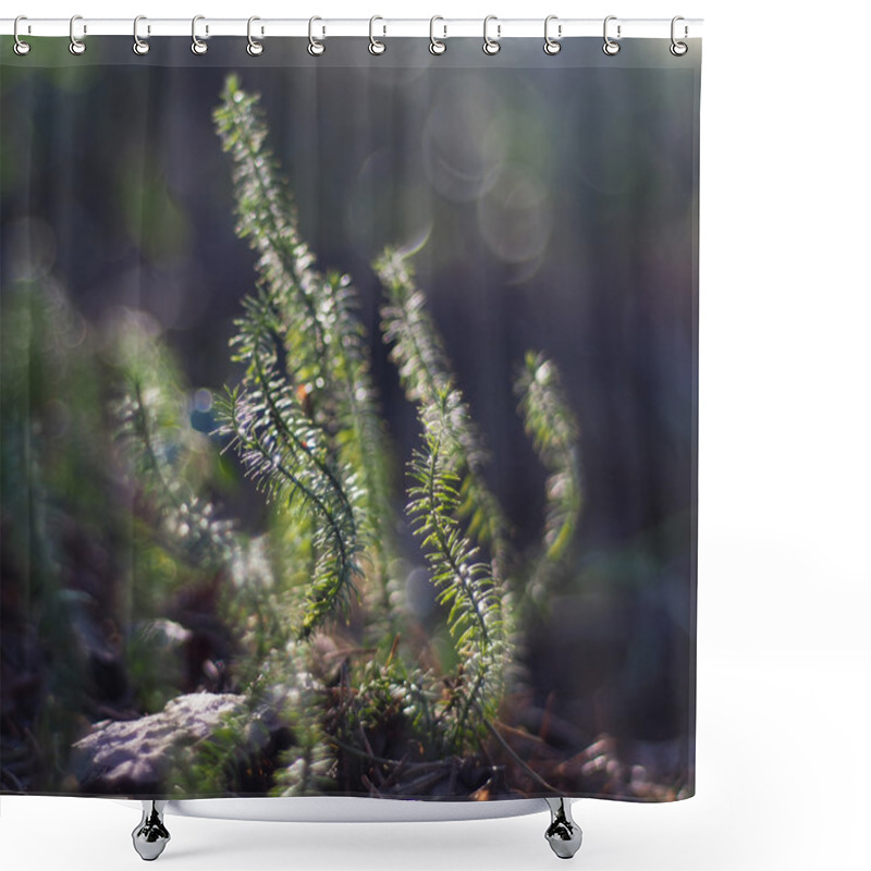 Personality  Lycopodium Moss Shower Curtains