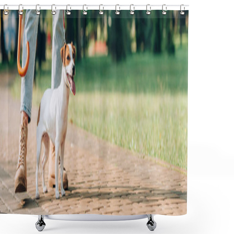 Personality  Panoramic Crop Of Woman Standing Near Jack Russell Terrier On Leash On Walkway In Park Shower Curtains