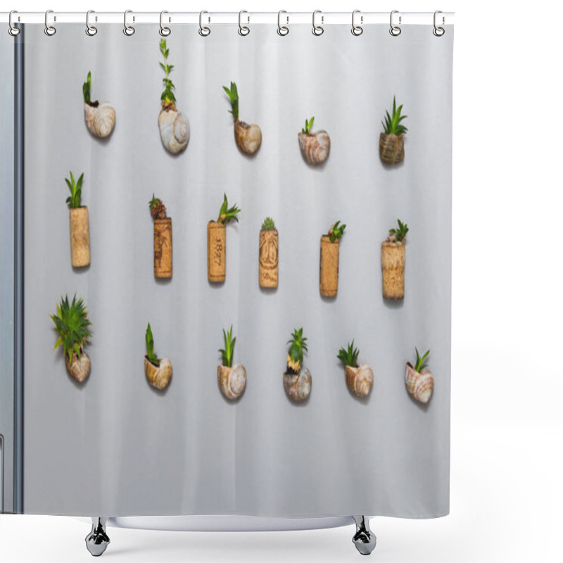 Personality  Mini Garden With Succulents Plant Growing In Snail Shells Or Cork Planter, As Fridge Magnets Shower Curtains