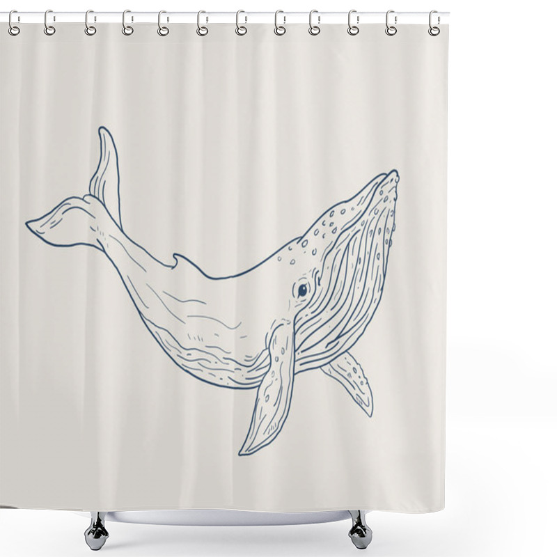 Personality  Blue whale vector illustration lineart shower curtains