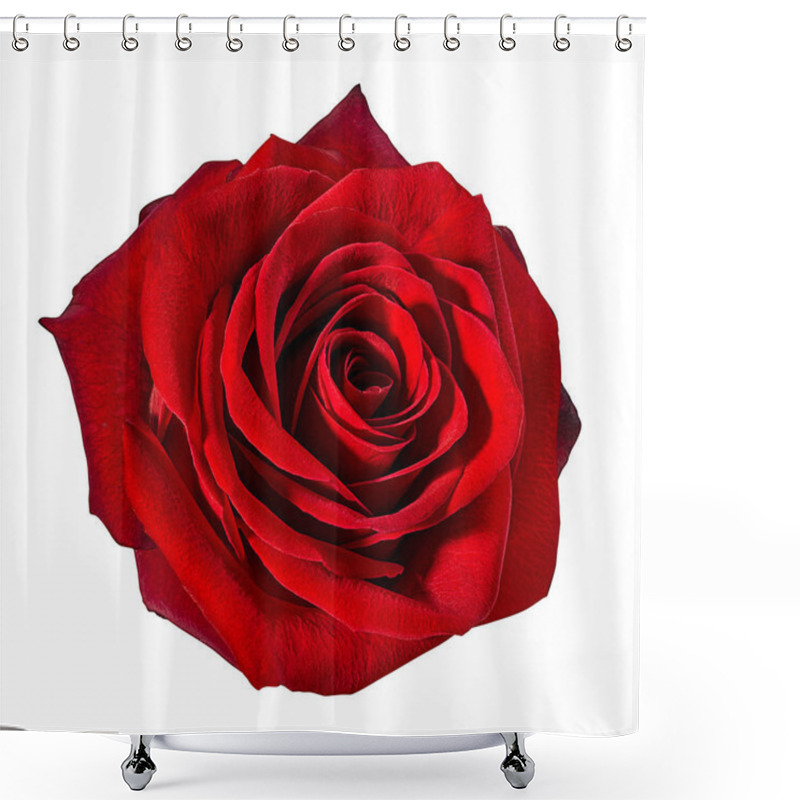 Personality  Rose Isolated On White Background Shower Curtains