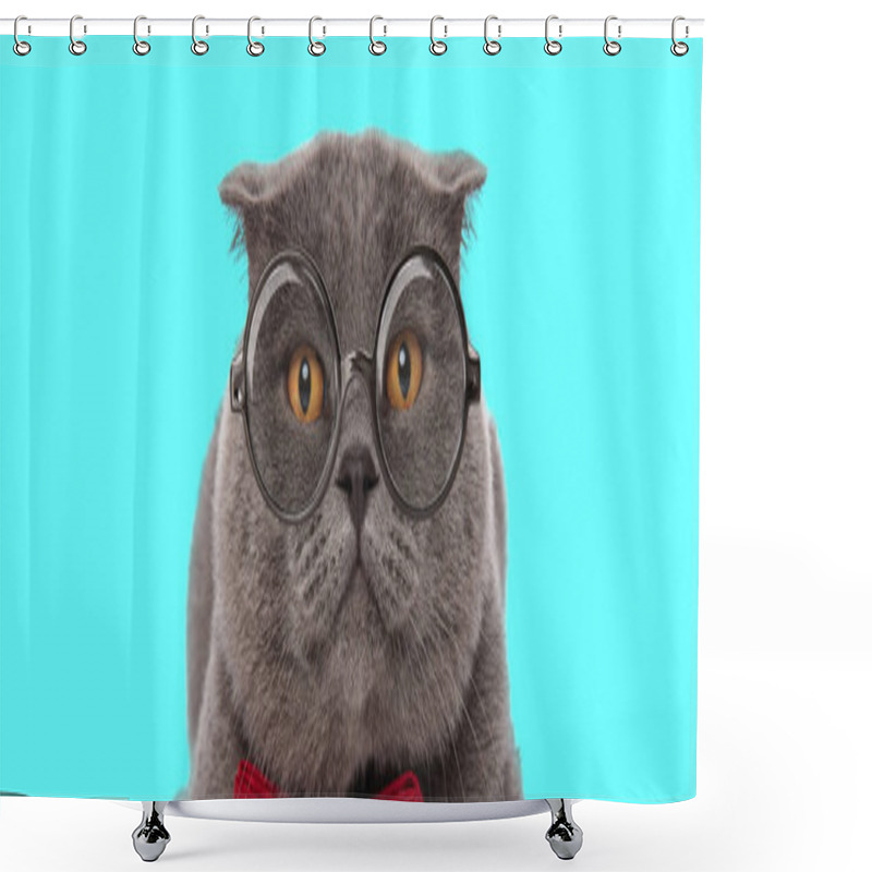 Personality  Nerdy Cute Scottish Fold Cat Lying Down, Wearing Eyeglasses With Red Bowtie On Blue Background Shower Curtains