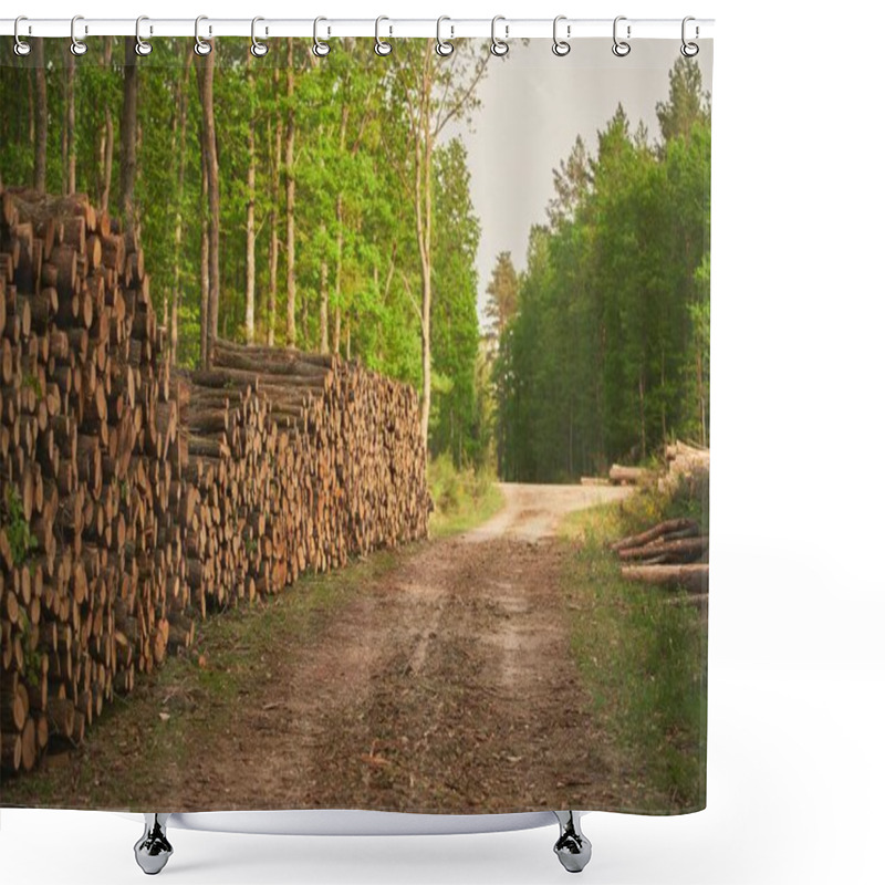 Personality  Deforestation. Stumps Show That Overexploitation Leads To Deforestation Endangering The Environment And Sustainability. Pine Tree Forestry Exploitation On A Sunny Day In The Forests Of Europe Shower Curtains