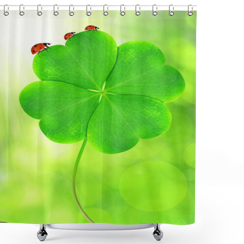 Personality  Green Clover Leaf Shower Curtains