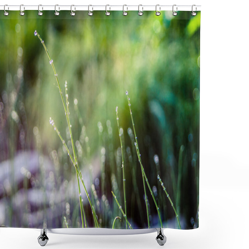 Personality  Various Wildflowers And Herbs. Shower Curtains