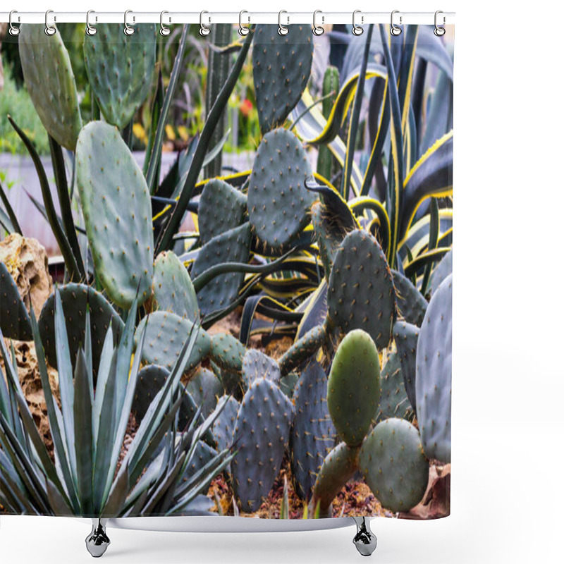 Personality  Cactus Flowers And Succulent Flower Group Garden Desert Plant In Greenhouse Shower Curtains