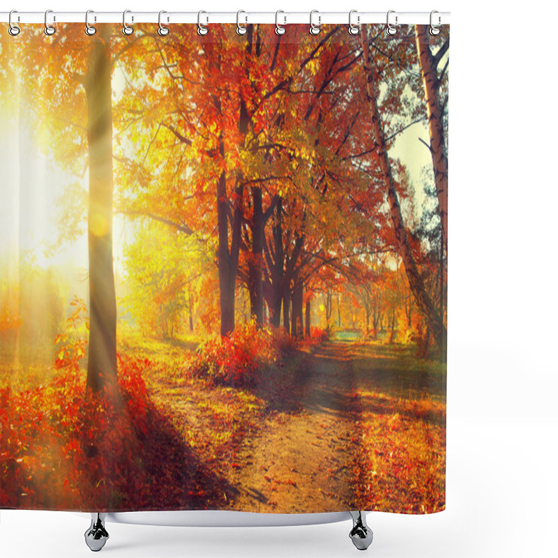 Personality  Autumnal Trees  In Sun Rays Shower Curtains