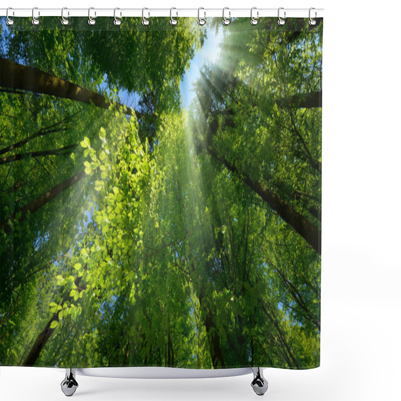 Personality  Rays Of Light Beautifully Falling Through The Green Foliage And Enhancing The Scenery Of A Beautiful Lush Tree Canopy In A Forest Shower Curtains