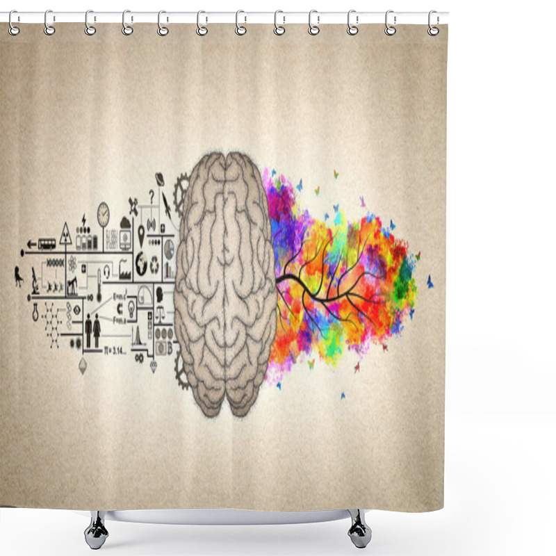 Personality  Brain Functions - Left Brain And Right Brain Conceptual Illustration - Analytic And Creative Brain  Shower Curtains