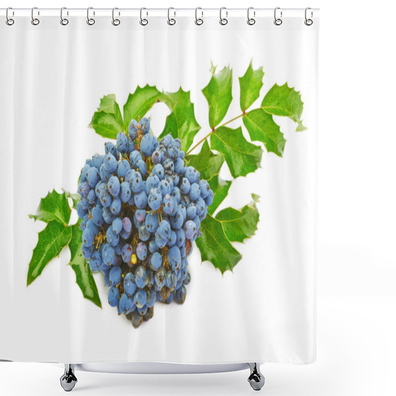 Personality  Blue Berries Of Oregon Grape Shower Curtains