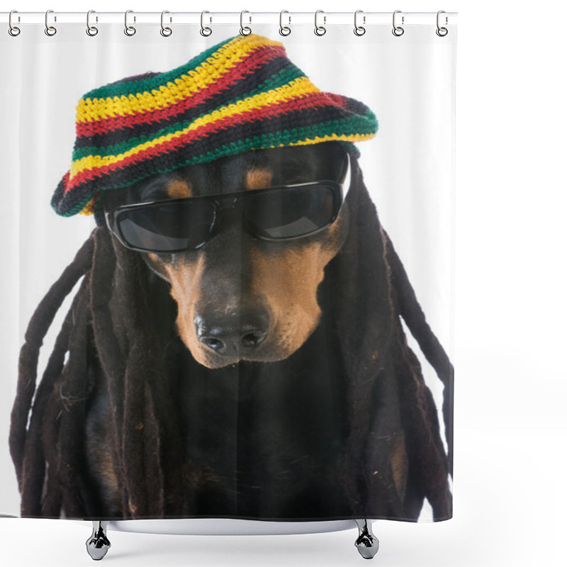 Personality  Dog In Costume Shower Curtains