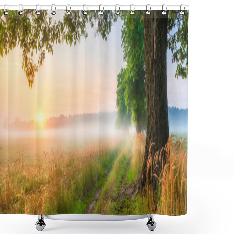 Personality  Beautiful Foggy Morning At The Old Oaks Avenue  Shower Curtains