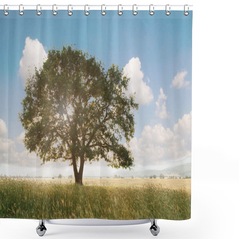 Personality  Lonely Tree Against A Blue Sky At Sunset. Summer Landscape With A Lone Tree At Sunset Barley Field In The Village Shower Curtains