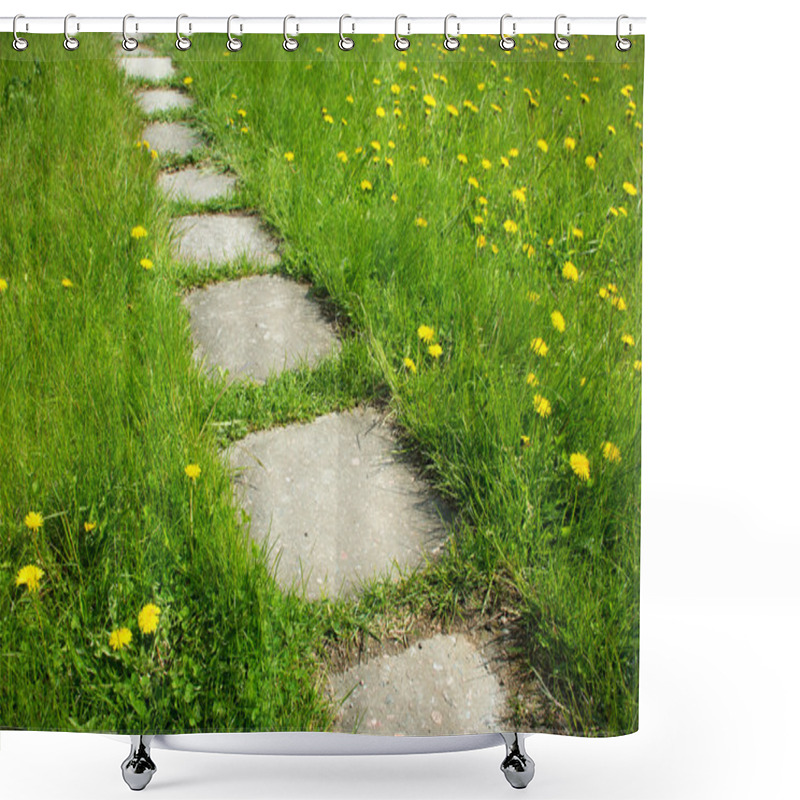 Personality  Path On Dandelion Field Shower Curtains