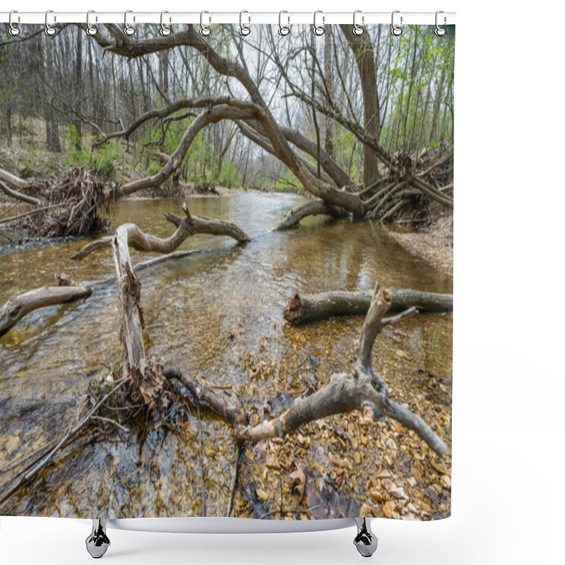 Personality  Fallen Trees In A Spring Fed Creek In St Louis, Mo USA Shower Curtains