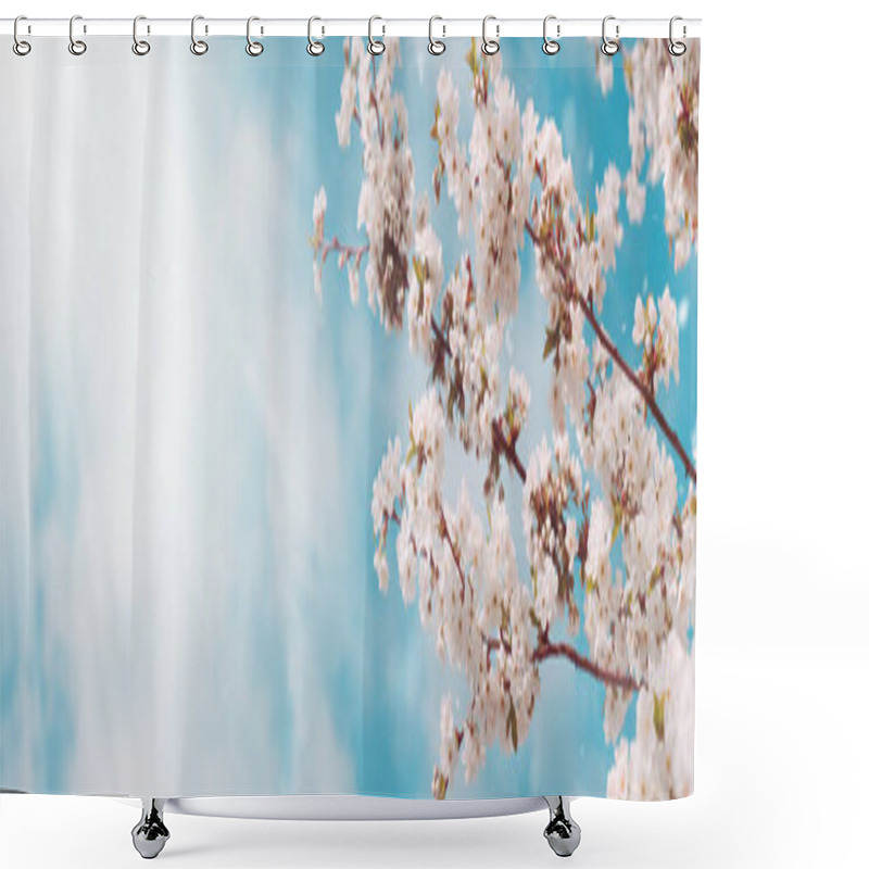 Personality  Beautiful Spring Background Of Blossoming Trees And Blue Sky With Clouds. Copy Space. Web Banner. Panorama. Shower Curtains