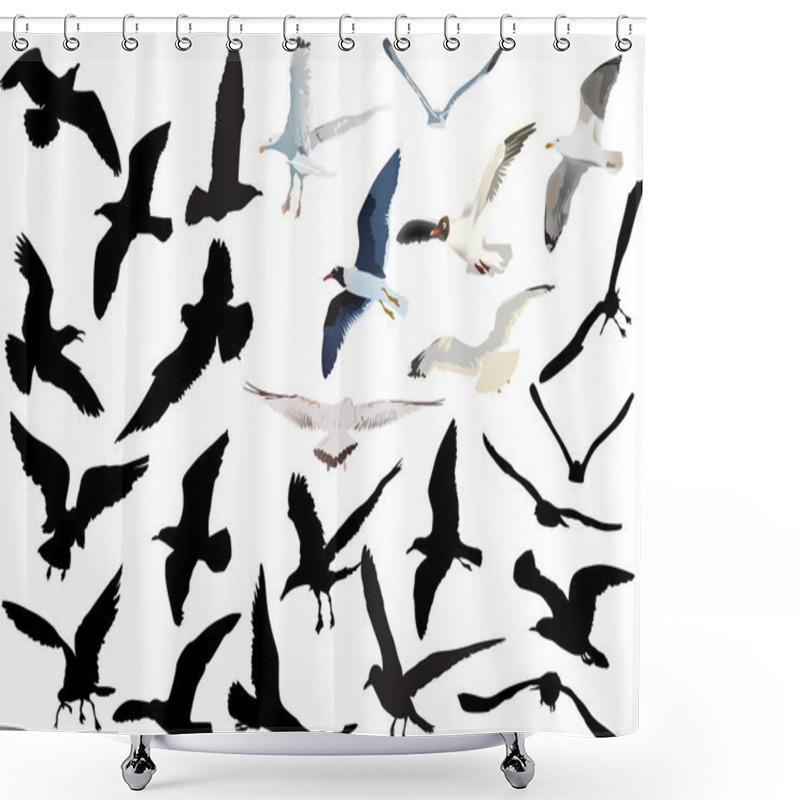 Personality  Gulls Collection Isolated On White Background Shower Curtains