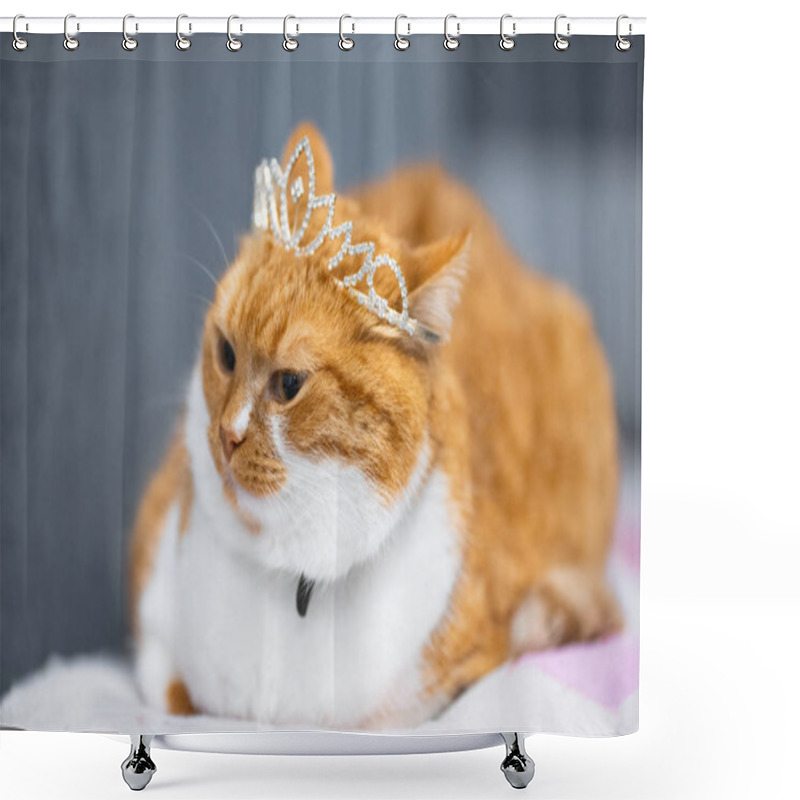 Personality  Portrait Of Red White Home Norwegian Cat With Princess Crown On Head. Shower Curtains