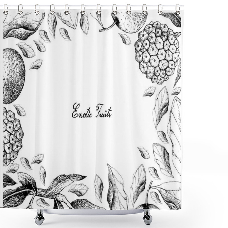 Personality  Hand Drawn Frame Of Chinese Pear And Pindaiva Fruits Shower Curtains