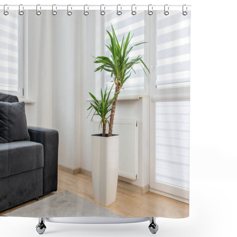 Personality  A Stylish Indoor Plant Stands In A Sleek White Pot, Enhancing The Modern Aesthetic Of A Cozy Living Room With A Gray Sofa And Bright Natural Light. Shower Curtains